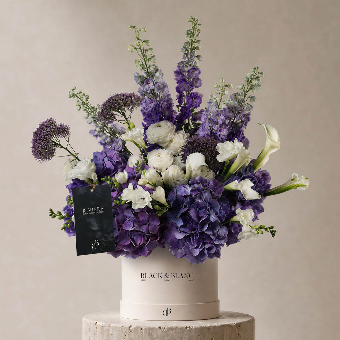 Antibes in Box - BLACK AND BLANC