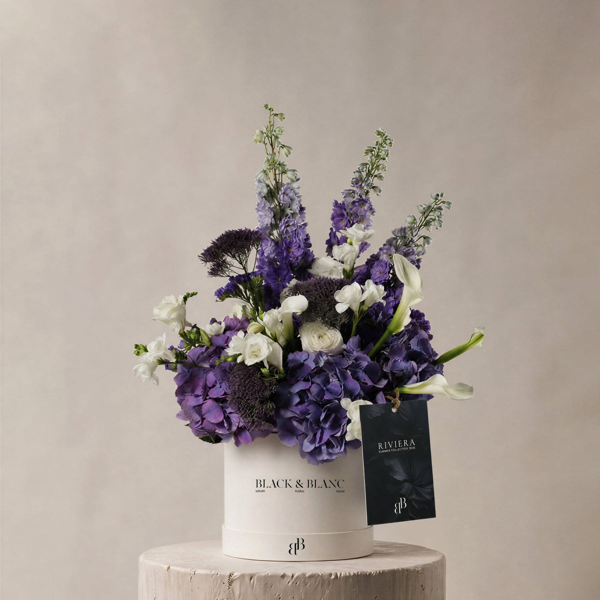 Antibes in Box - BLACK AND BLANC