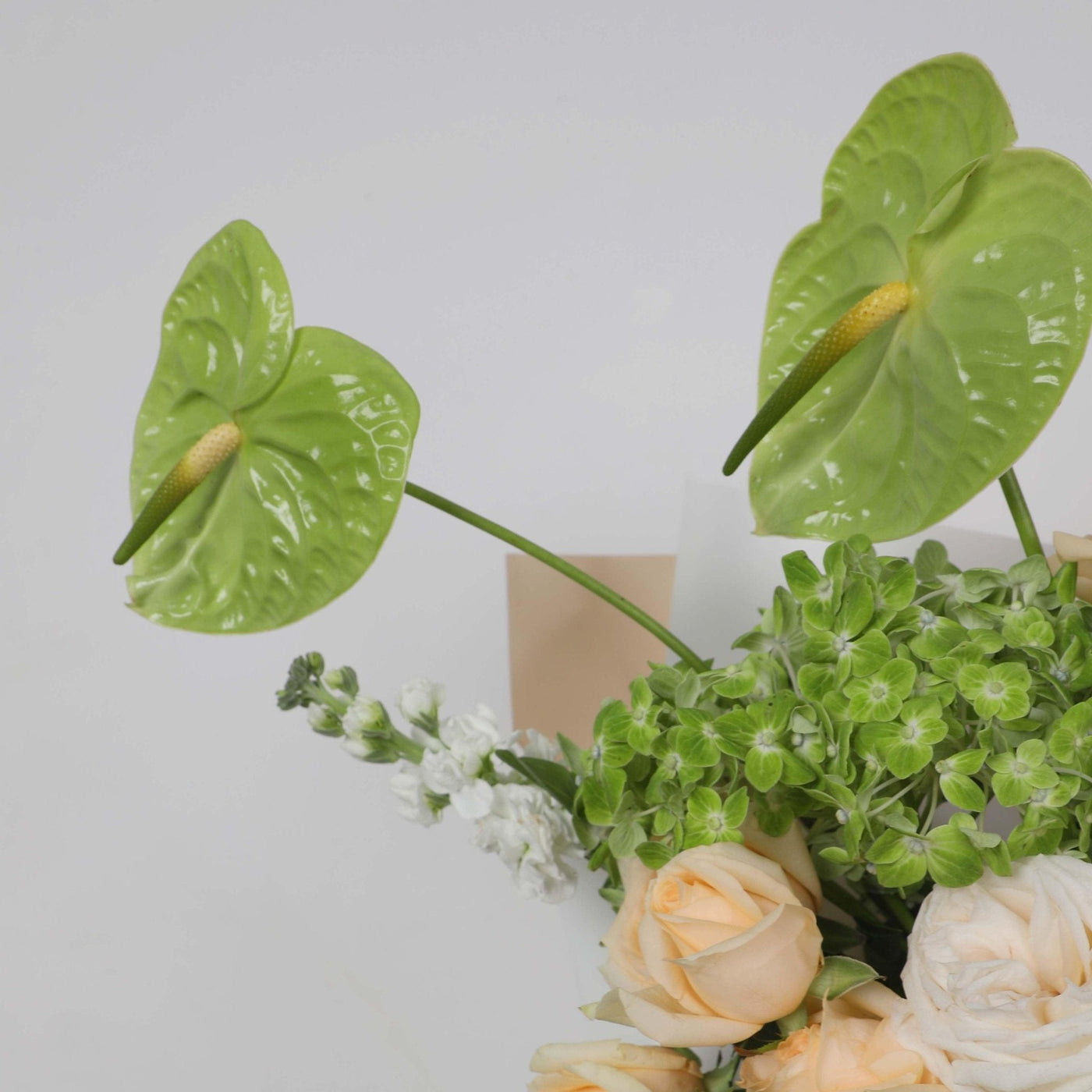 Antoinette Bouquet - BLACK AND BLANC