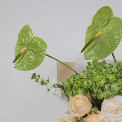 Antoinette Bouquet - BLACK AND BLANC