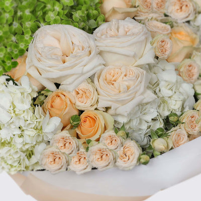 Antoinette Bouquet - BLACK AND BLANC