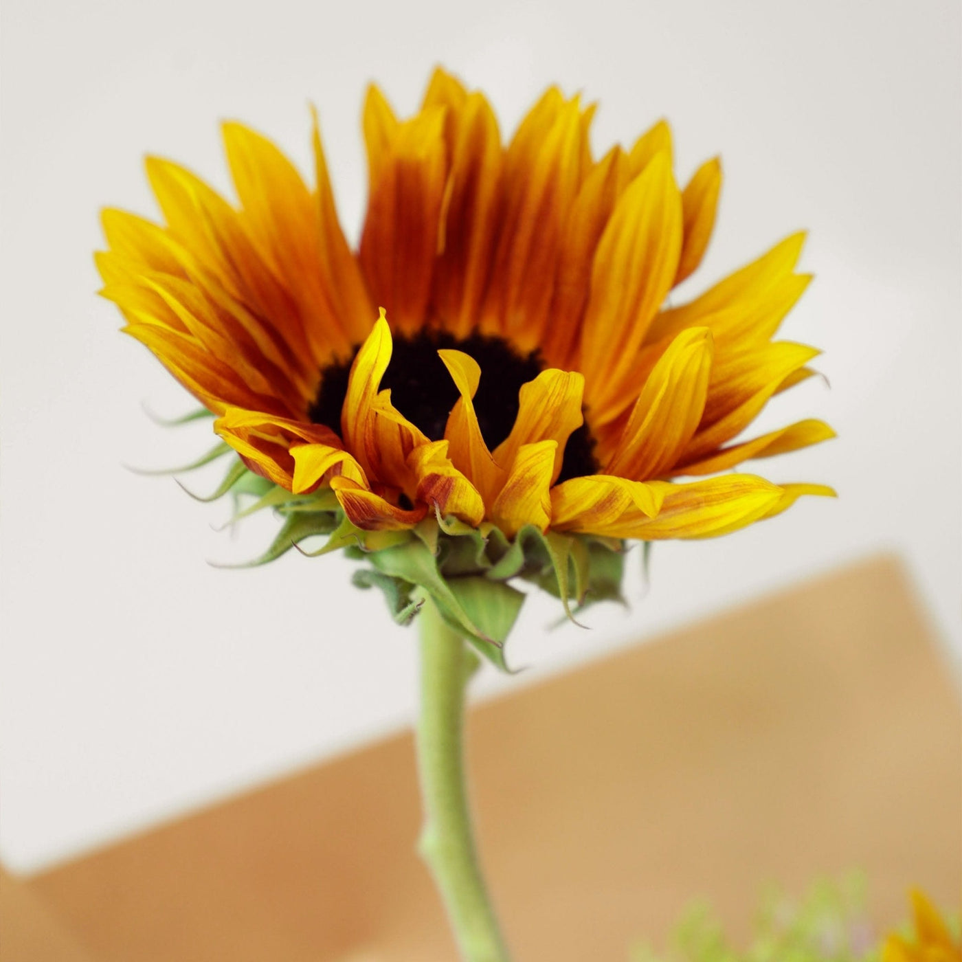 Apricot Glow Bouquet - BLACK AND BLANC