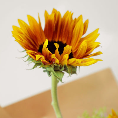 Apricot Glow Bouquet - BLACK AND BLANC