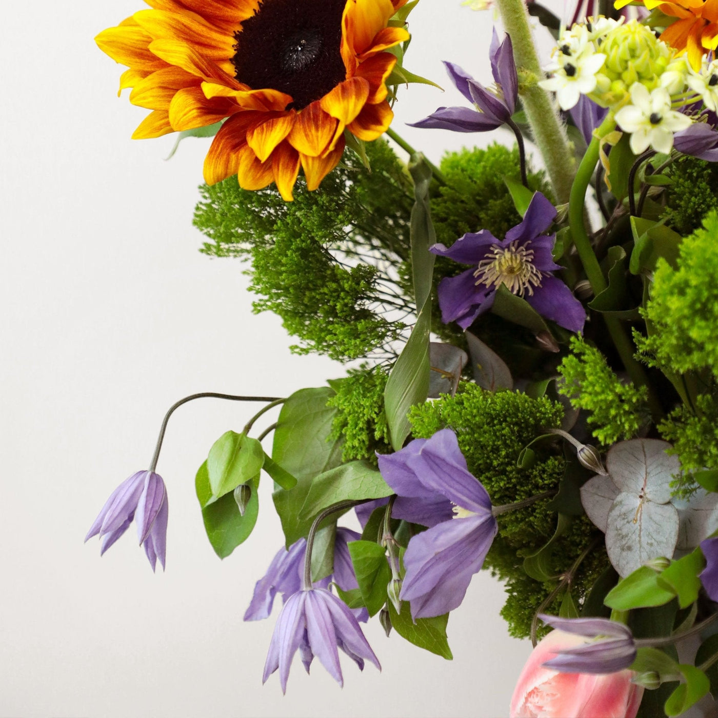 Apricot Glow in Vase - BLACK AND BLANC