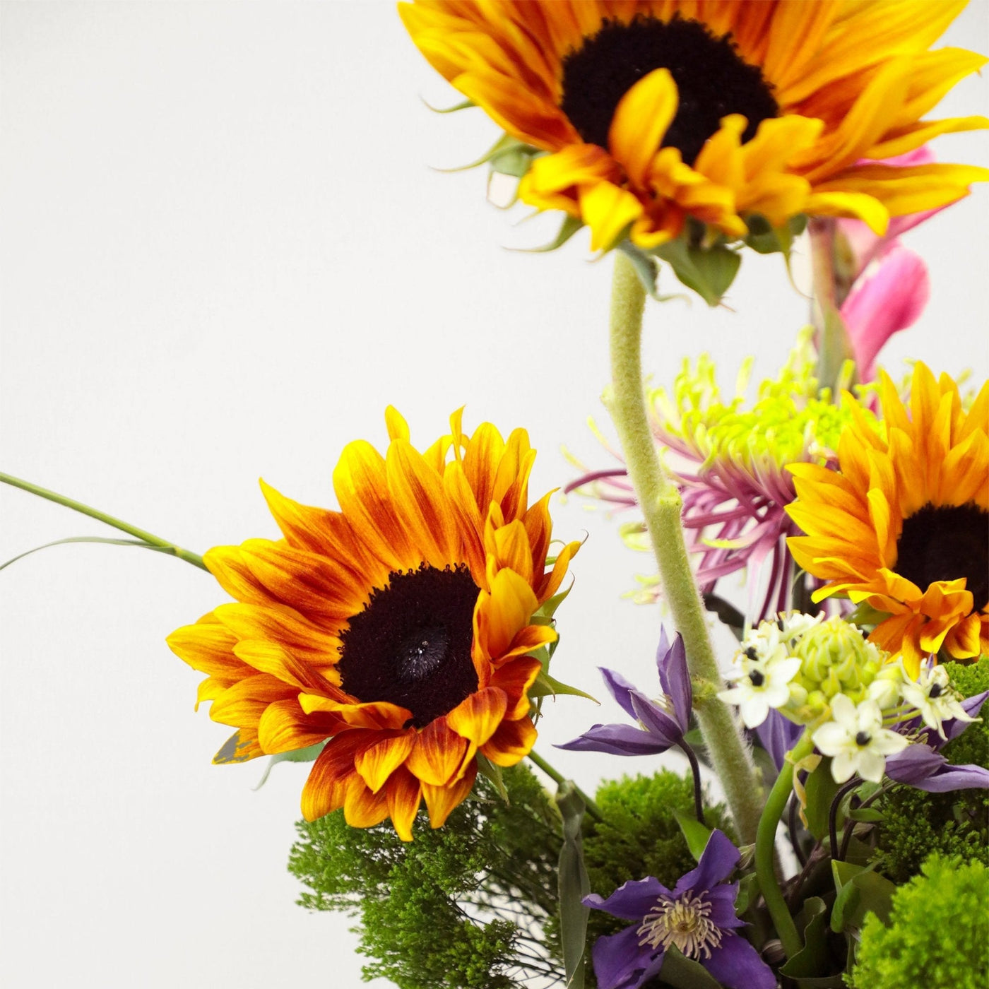 Apricot Glow in Vase - BLACK AND BLANC