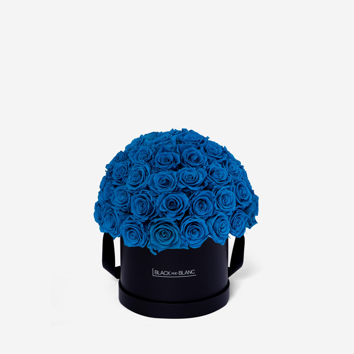 Aqua Blue Dôme Classic - Infinity Roses - BLACK AND BLANC