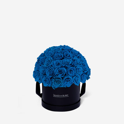 Aqua Blue Dôme Classic - Infinity Roses - BLACK AND BLANC