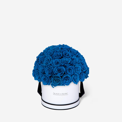 Aqua Blue Dôme Classic - Infinity Roses - BLACK AND BLANC