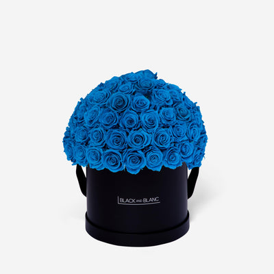 Aqua Blue Dôme Classic - Infinity Roses - BLACK AND BLANC