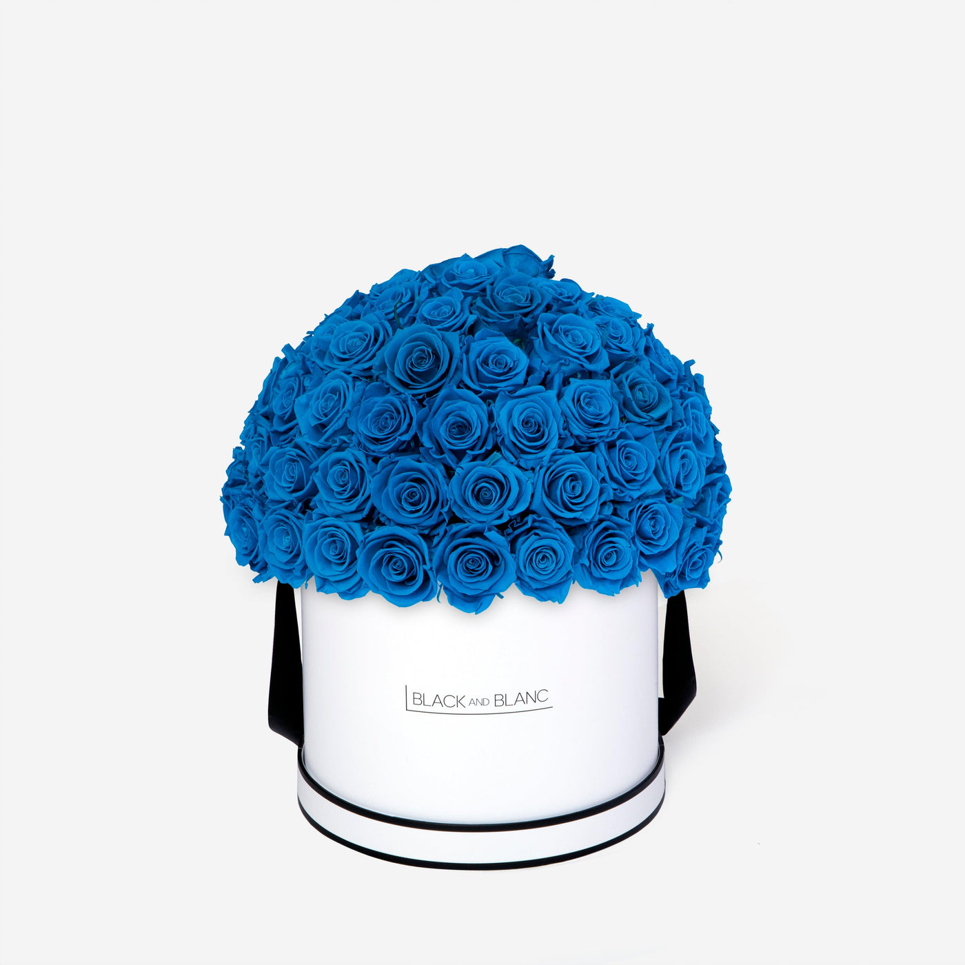 Aqua Blue Dôme Classic - Infinity Roses - BLACK AND BLANC