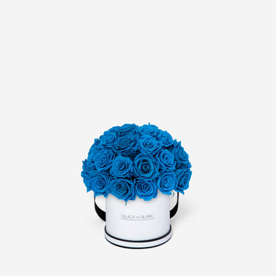 Aqua Blue Dôme Classic - Infinity Roses - BLACK AND BLANC