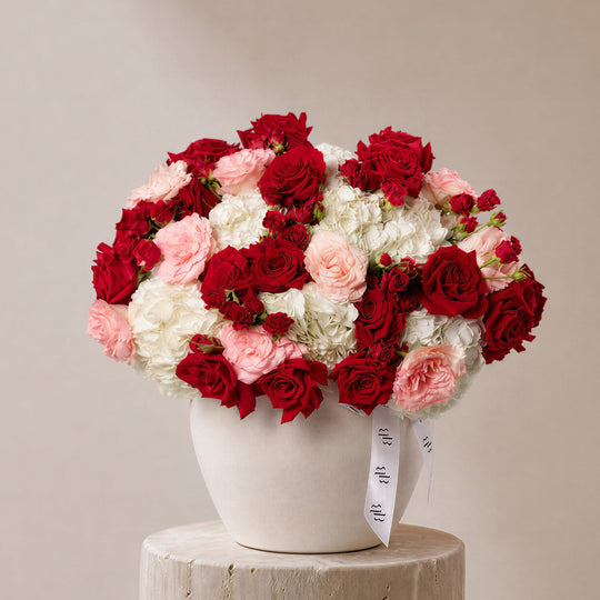Aroos Roses in Ivory Vase - BLACK AND BLANC