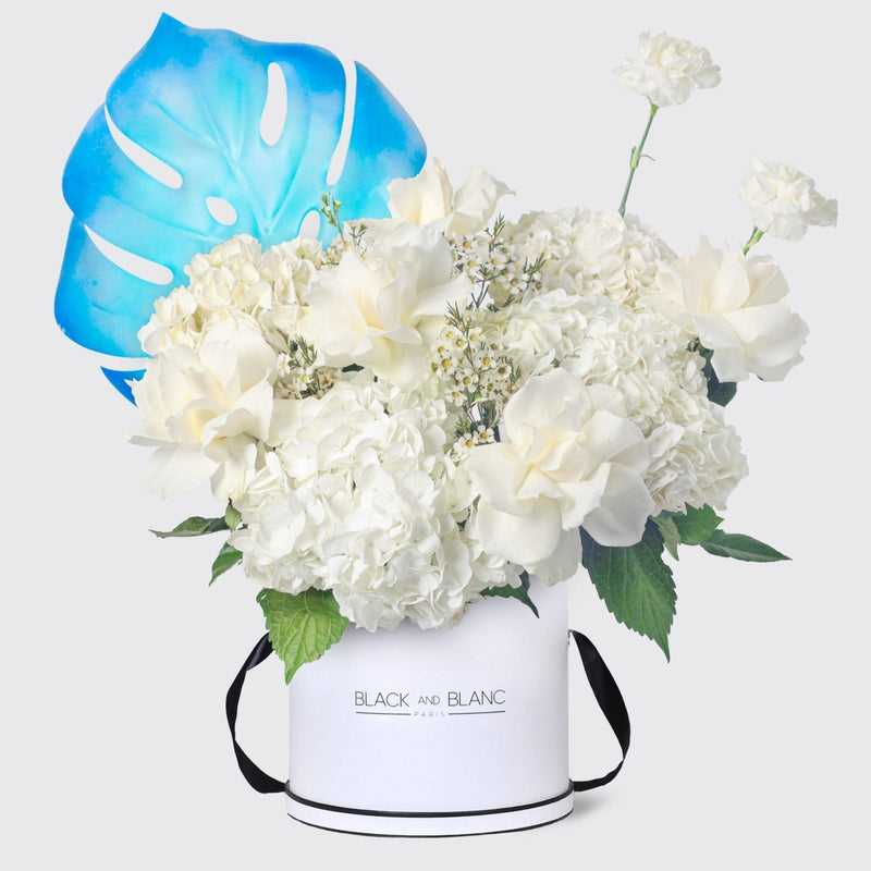 Azure Dream in Box - BLACK AND BLANC