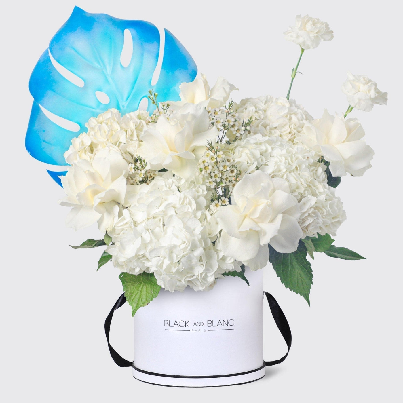 Azure Dream in Box - BLACK AND BLANC