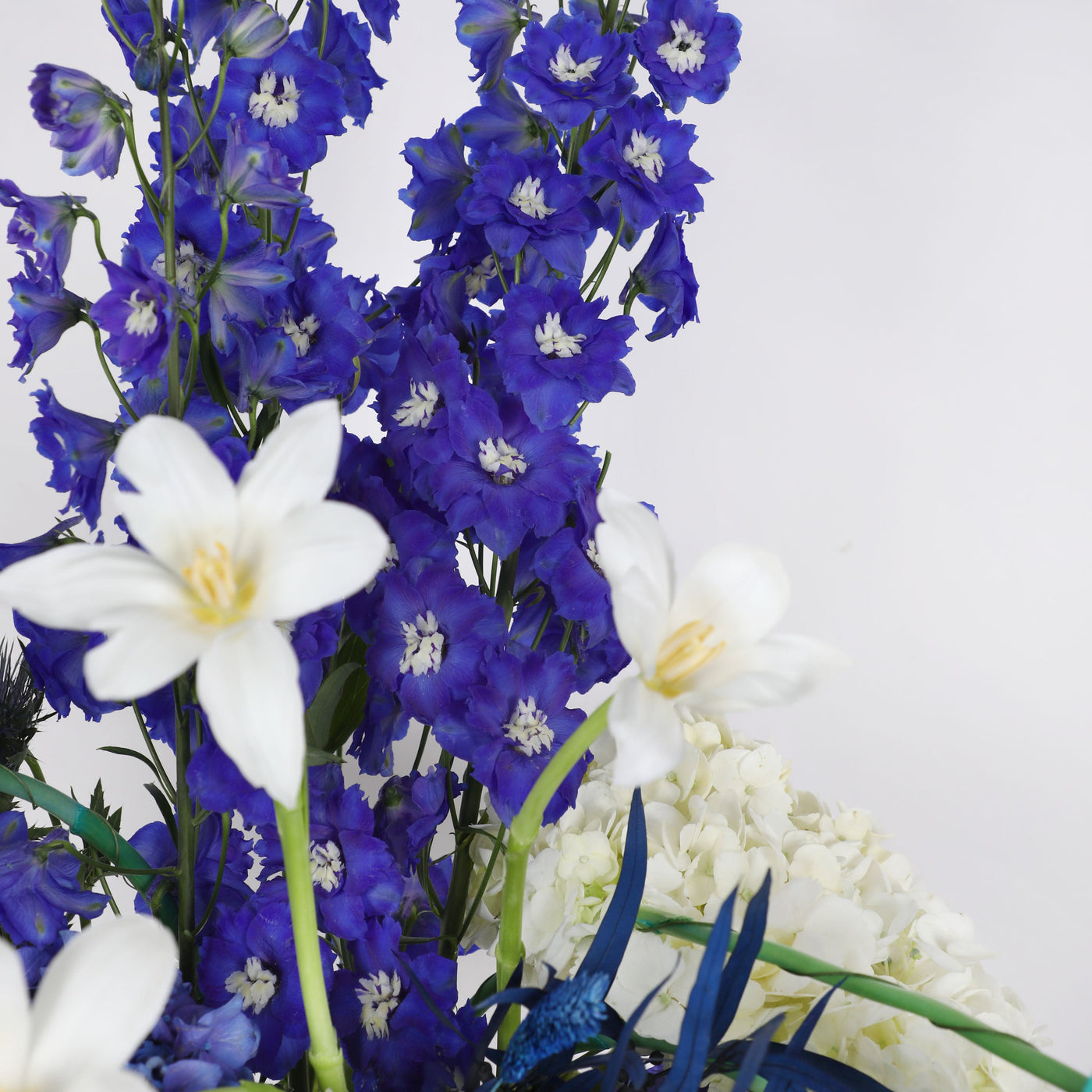 Azure Opulance in Vase - Fresh Flowers - Vase