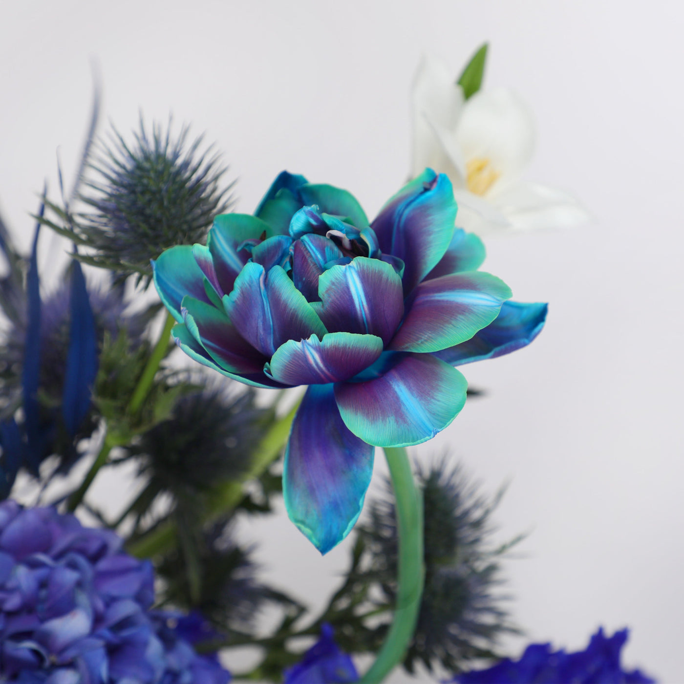 Azure Opulance in Vase - Fresh Flowers - Vase