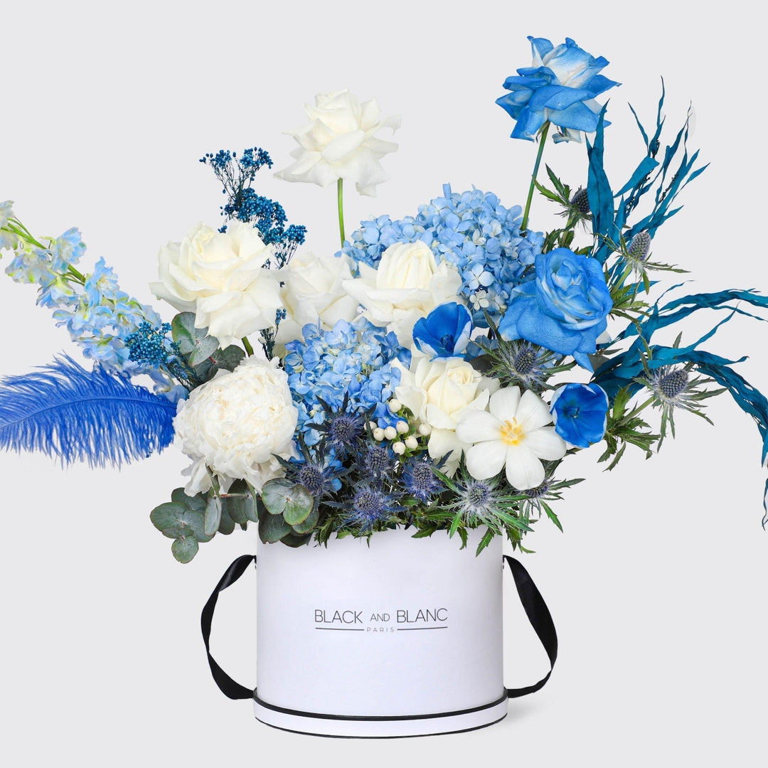 Azure Victory in Box - BLACK AND BLANC