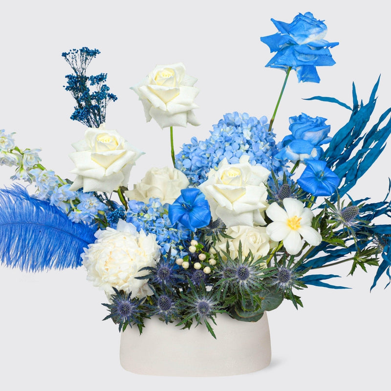 Azure Victory in Vase - BLACK AND BLANC