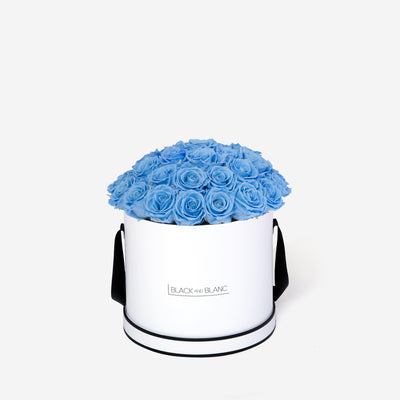 Baby Blue BouqBox - Infinity Roses - BLACK AND BLANC