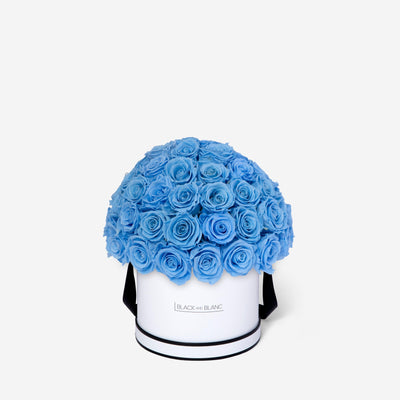 Baby Blue Dôme Classic - Infinity Roses - BLACK AND BLANC