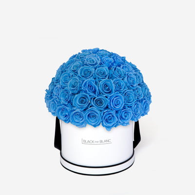 Baby Blue Dôme Classic - Infinity Roses - BLACK AND BLANC