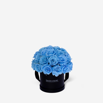 Baby Blue Dôme Classic - Infinity Roses - BLACK AND BLANC