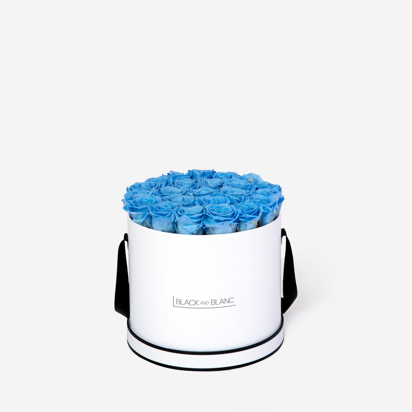 Baby Blue Round - Infinity Roses - BLACK AND BLANC