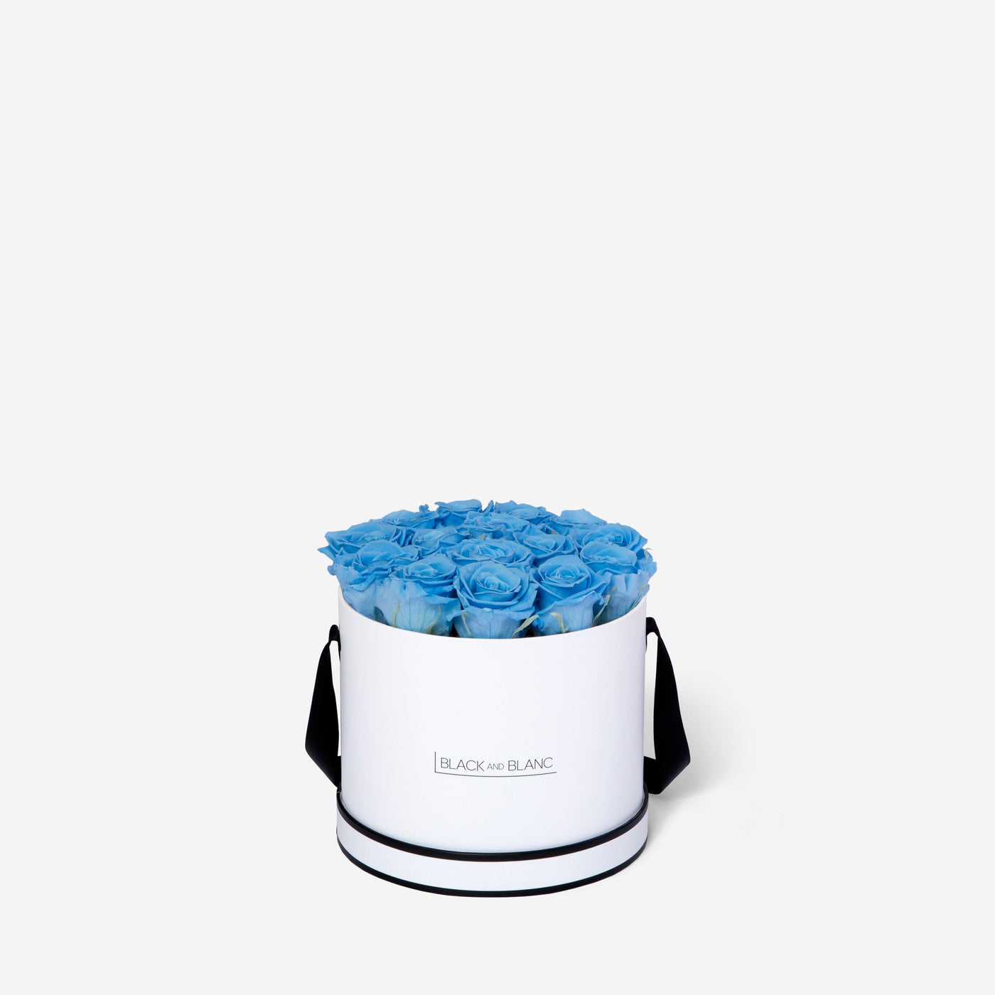 Baby Blue Round - Infinity Roses - BLACK AND BLANC