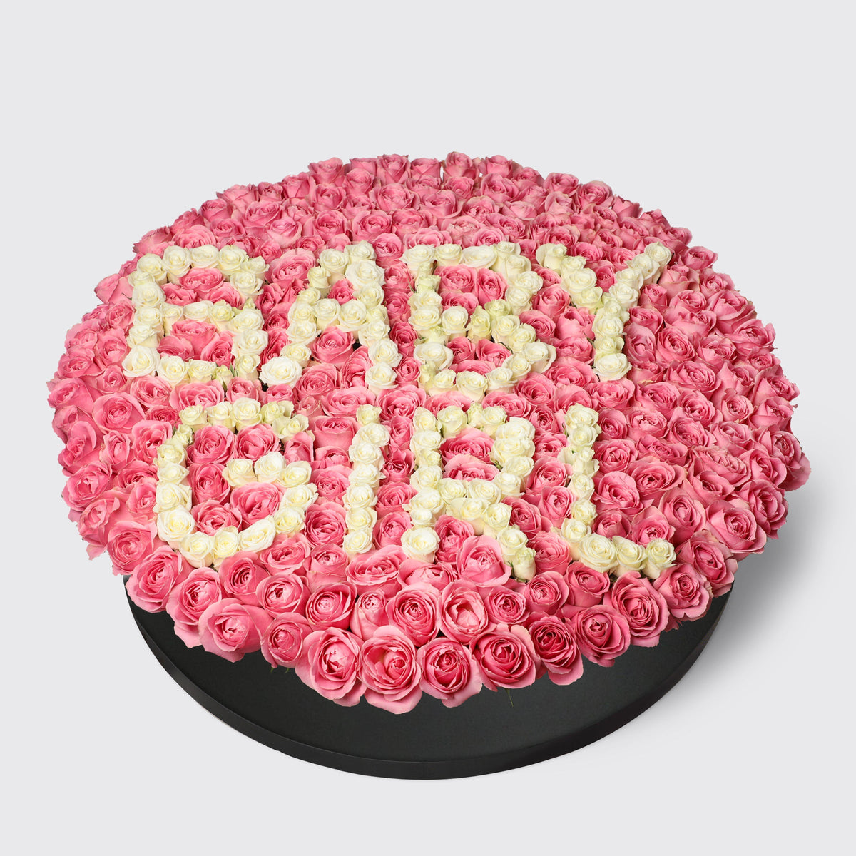 Baby Girl Extravaganza