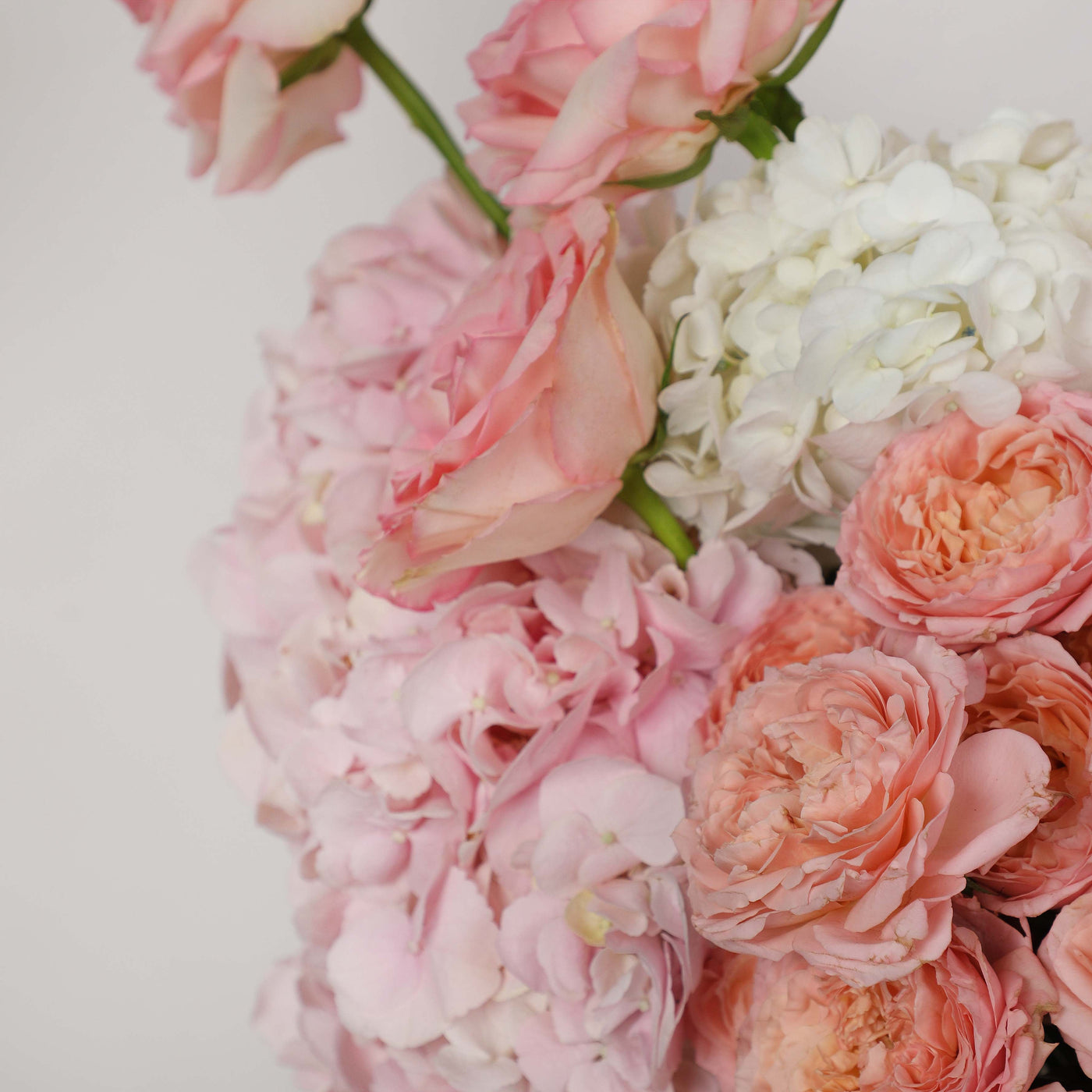 Ballet Rose Ceramic in Vase - Fresh Flowers - Vase