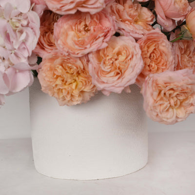 Ballet Rose Ceramic in Vase - Fresh Flowers - Vase