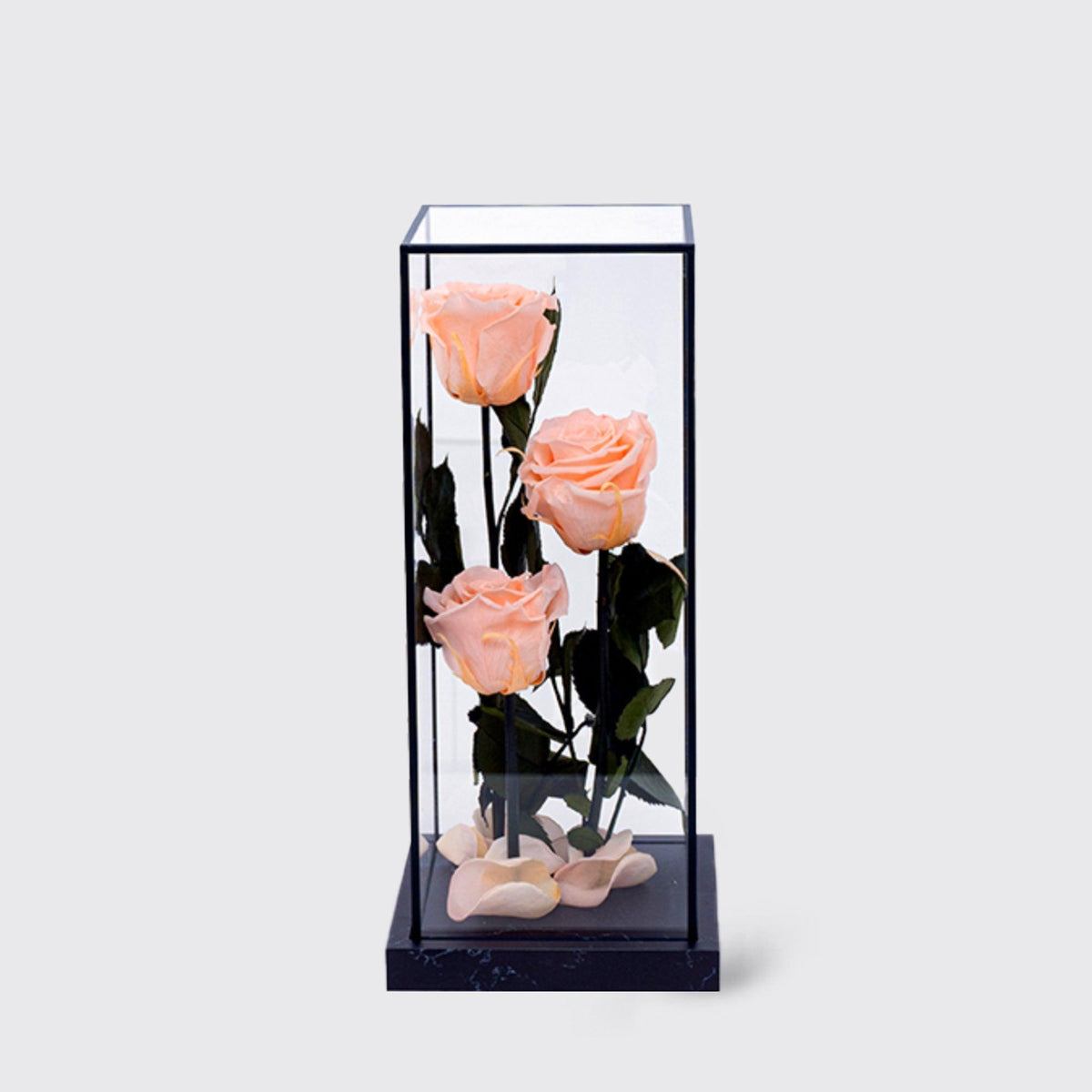 Bella Trio - Infinity Roses - BLACK AND BLANC