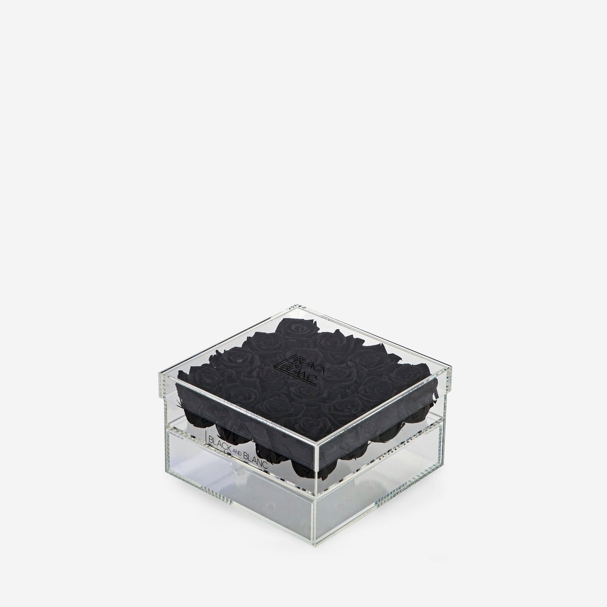 Black Clear - Infinity Roses - BLACK AND BLANC