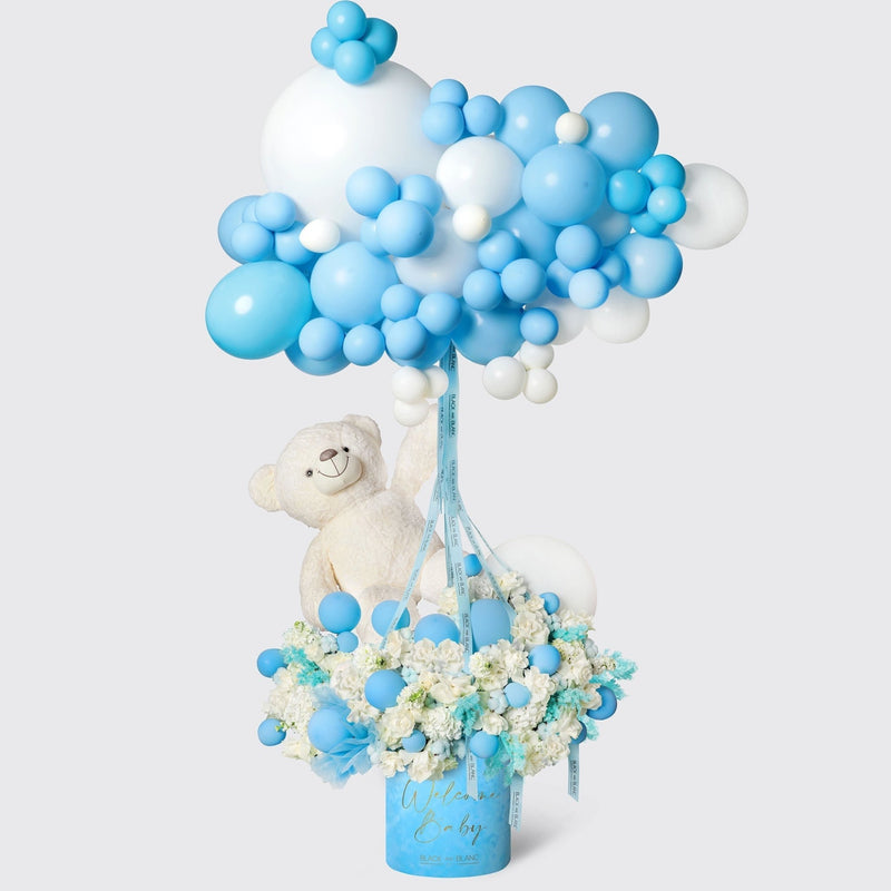 Blue Cuddle Bear in Opus Box - BLACK AND BLANC