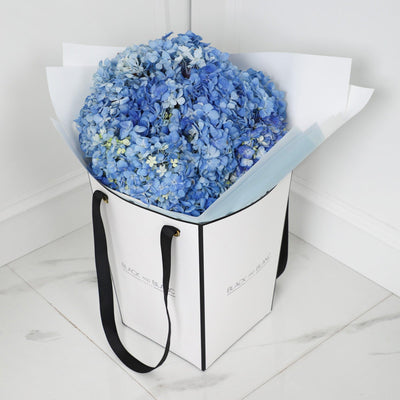 Demoiselle Emile Blue Hydrangea Bouqs - Fresh Flowers - BLACK AND BLANC