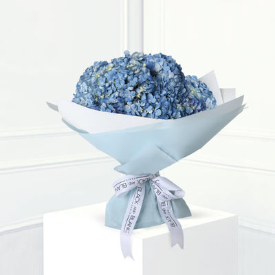 Demoiselle Emile Blue Hydrangea Bouqs - Fresh Flowers - BLACK AND BLANC