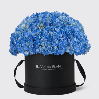 Blue Hydrangea in Box - Fresh Flowers - Le Luxi / Black - Box