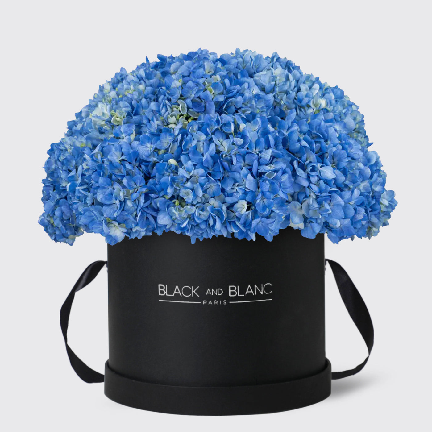 Blue Hydrangea in Box - Fresh Flowers - Le Luxi / Black - Box