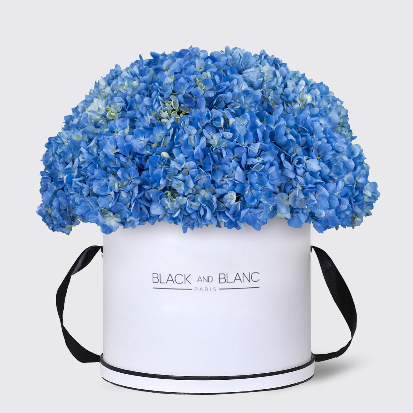 Blue Hydrangea in Box - Fresh Flowers - Le Luxi / White - Box