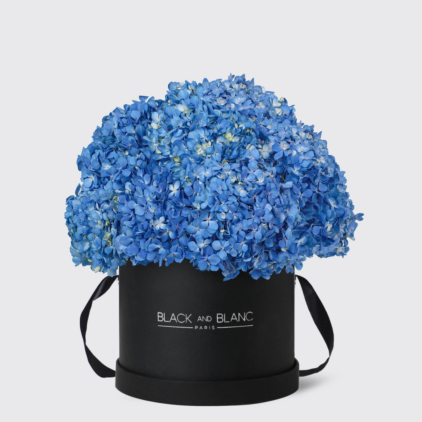 Blue Hydrangea in Box - Fresh Flowers - Le Maxi / Black - Box