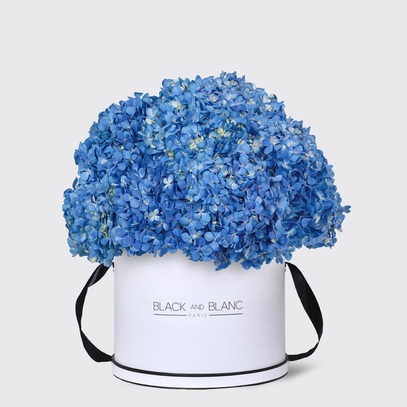 Blue Hydrangea in Box - Fresh Flowers - Le Maxi / White - Box