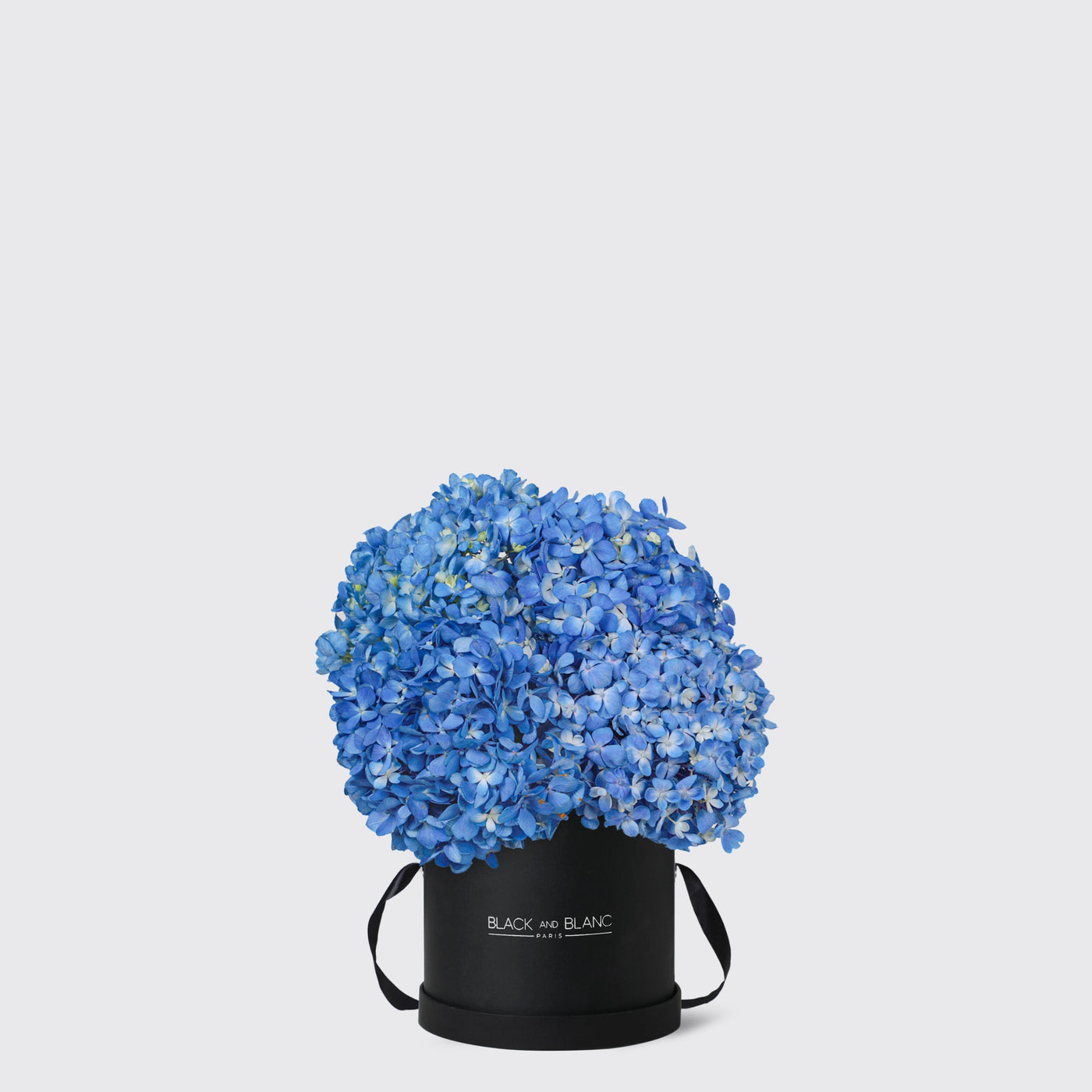 Blue Hydrangea in Box - Fresh Flowers - Le Medium / Black - Box