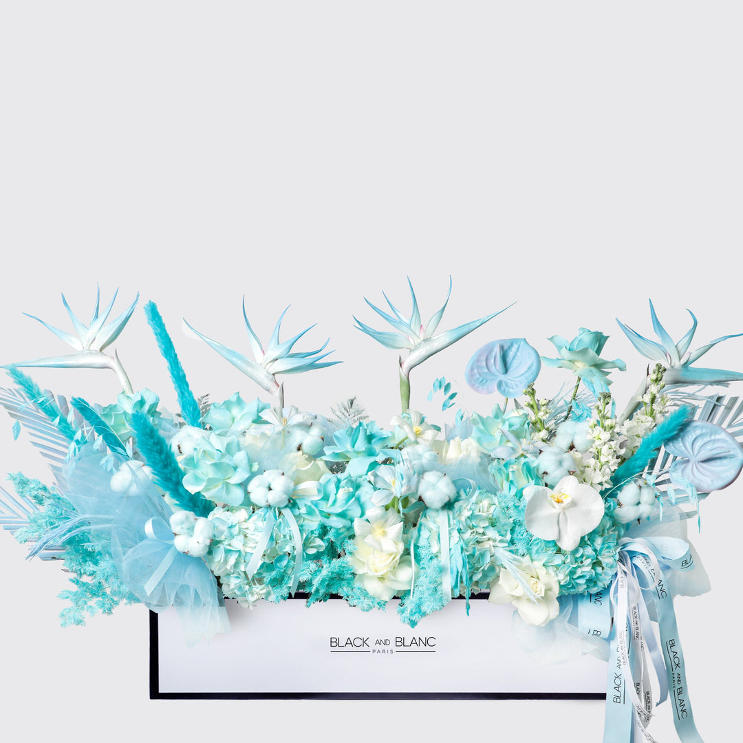 Blue Mirage in 1 Meter Box wd