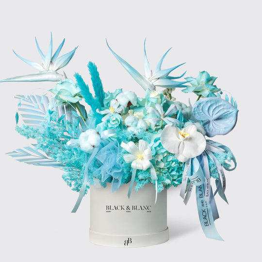 Blue Mirage in Box - BLACK AND BLANC