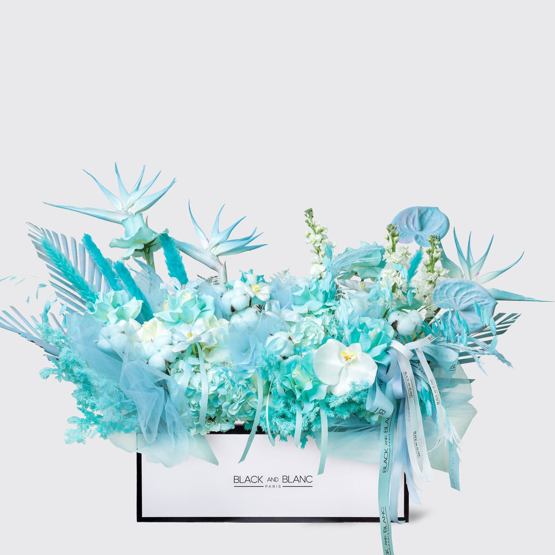 Blue Mirage in Half Meter Box wd