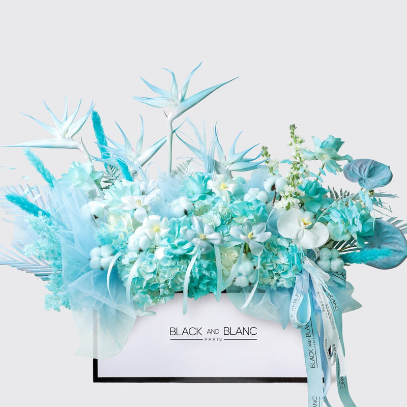Blue Mirage in Zenith Box - BLACK AND BLANC