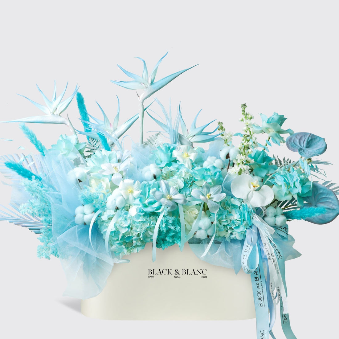 Blue Mirage in Zenith Box - BLACK AND BLANC