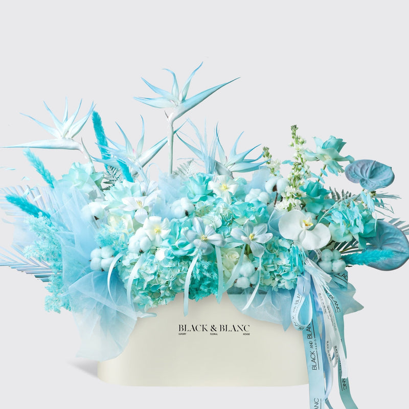 Blue Mirage in Zenith Box - BLACK AND BLANC