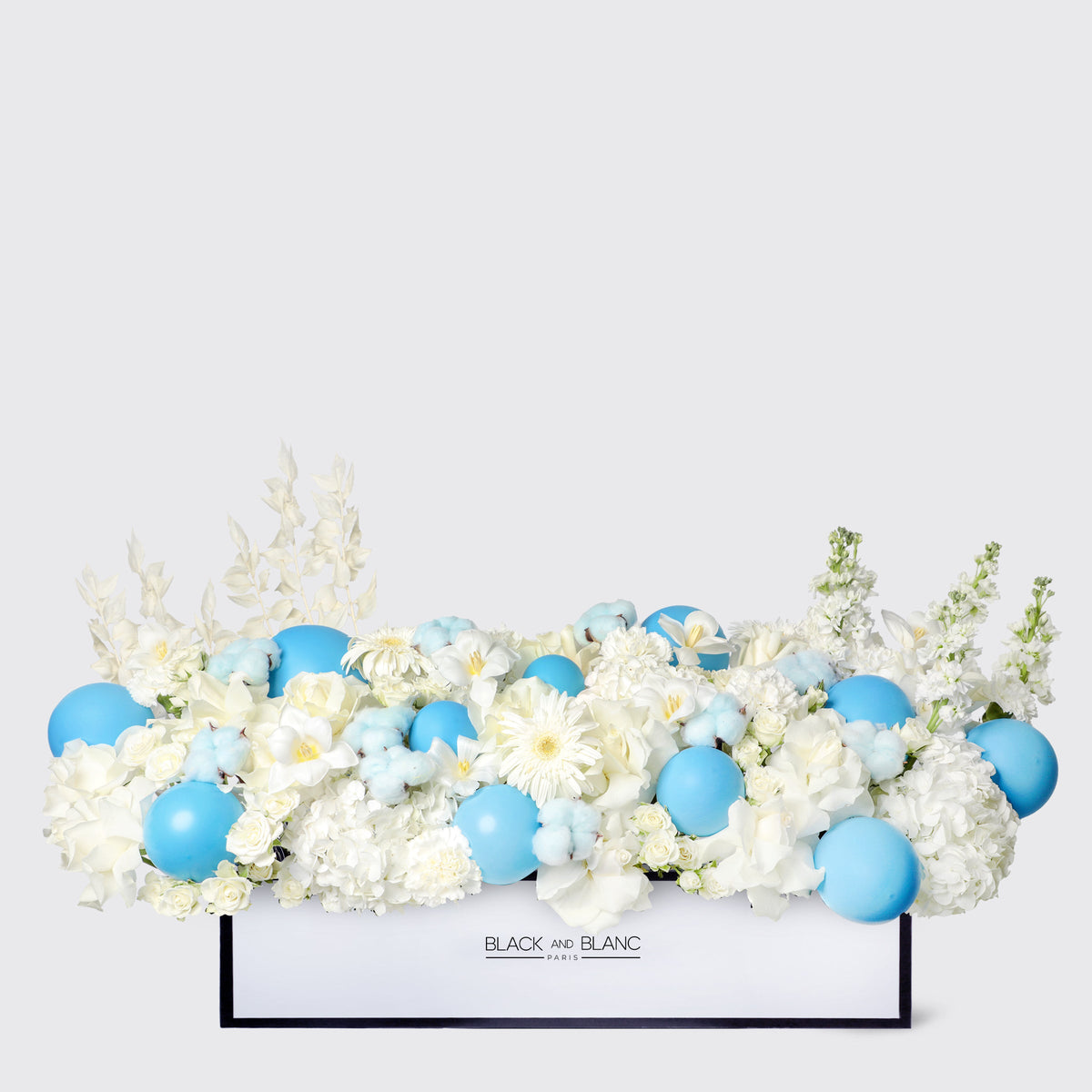 Blue Sky in 1 Meter Box wd