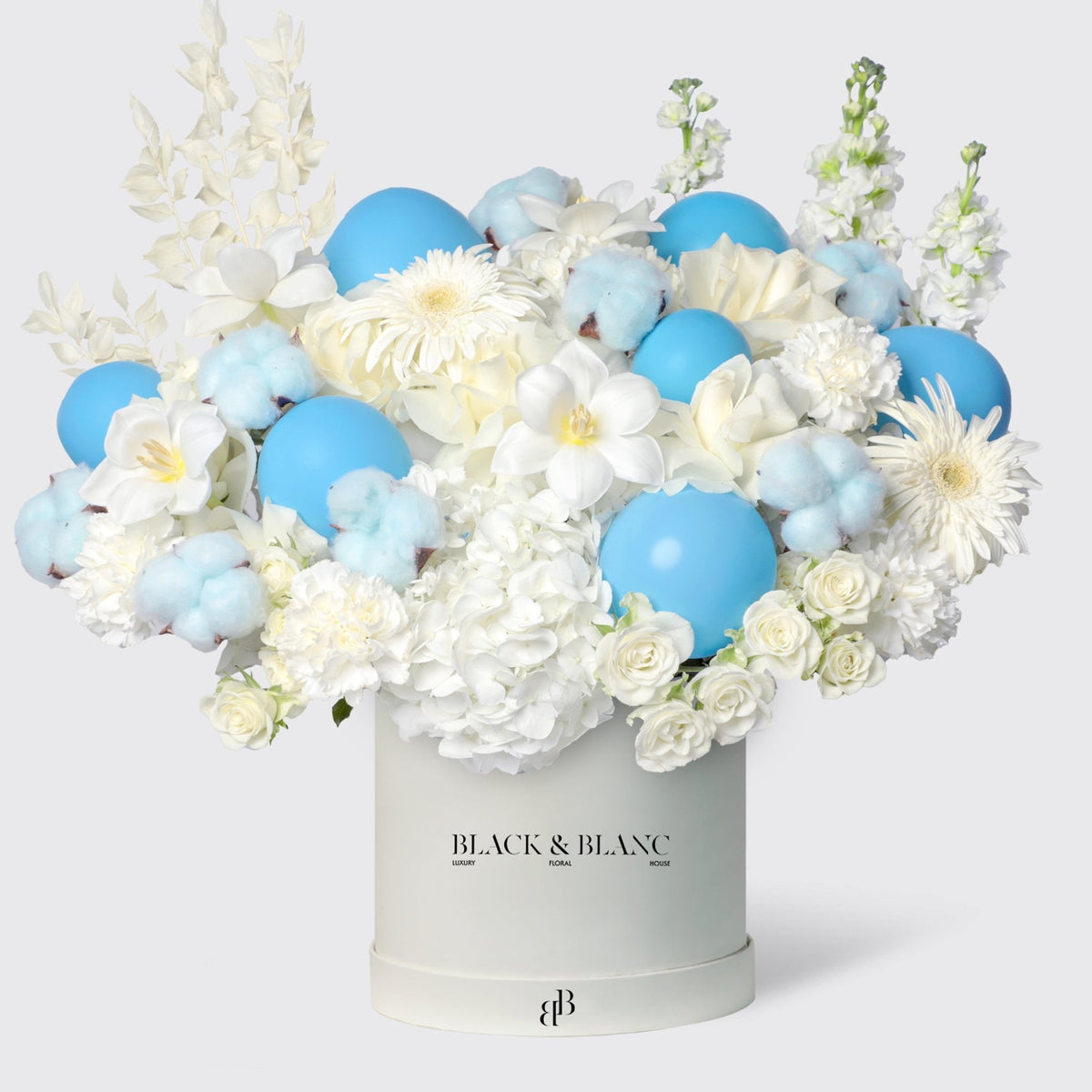 Blue Sky in Box - BLACK AND BLANC